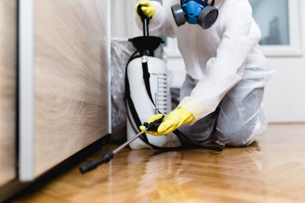 Best Local Pest Control Services  in Riviera Beach, FL