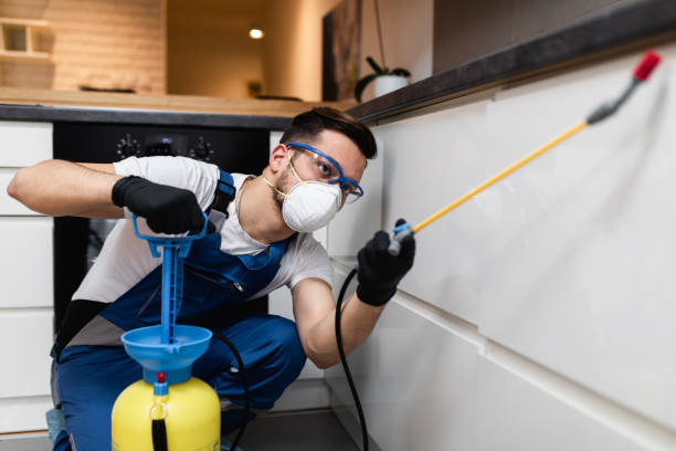 Best Flea Control Services  in Riviera Beach, FL