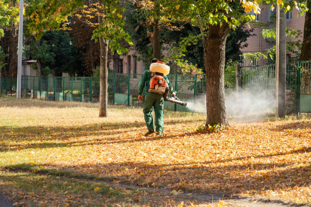 Best Pest Control Near Me  in Riviera Beach, FL