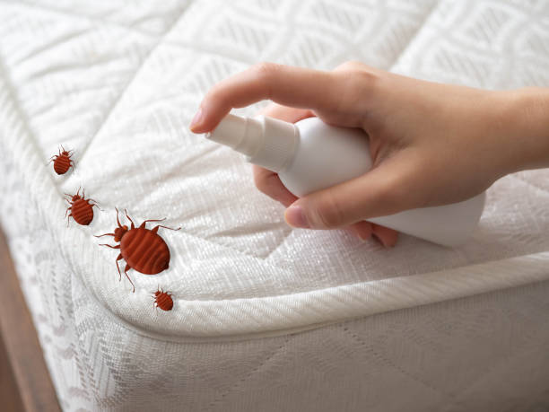 Best Best Pest Control Companies  in Riviera Beach, FL