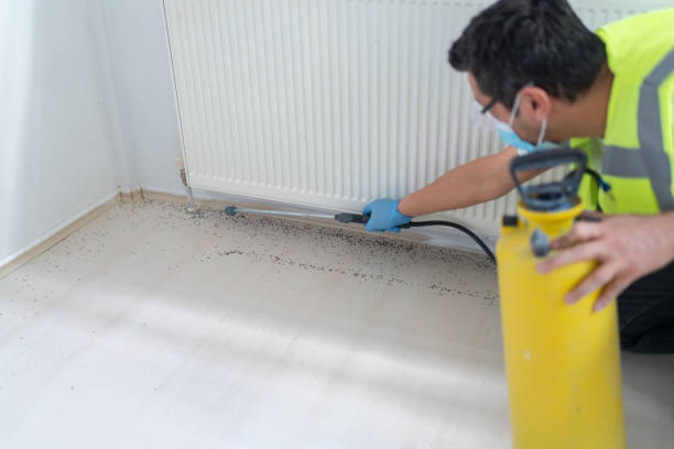 Pest Control Cost in Riviera Beach, FL